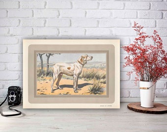 Ariege Pointer Dog Vintage Print, Dog Lover Gift, Dog Art Wall Decor