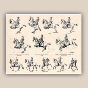 Horseback Riding Art, Equestrian Print, Horse Lover Gift