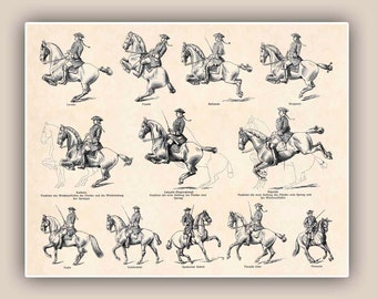 Horseback Riding Art, Equestrian Print, Horse Lover Gift