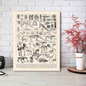 Paleontology Poster, Extinct Animals, Prehistoric Art, Dinosaur Decor