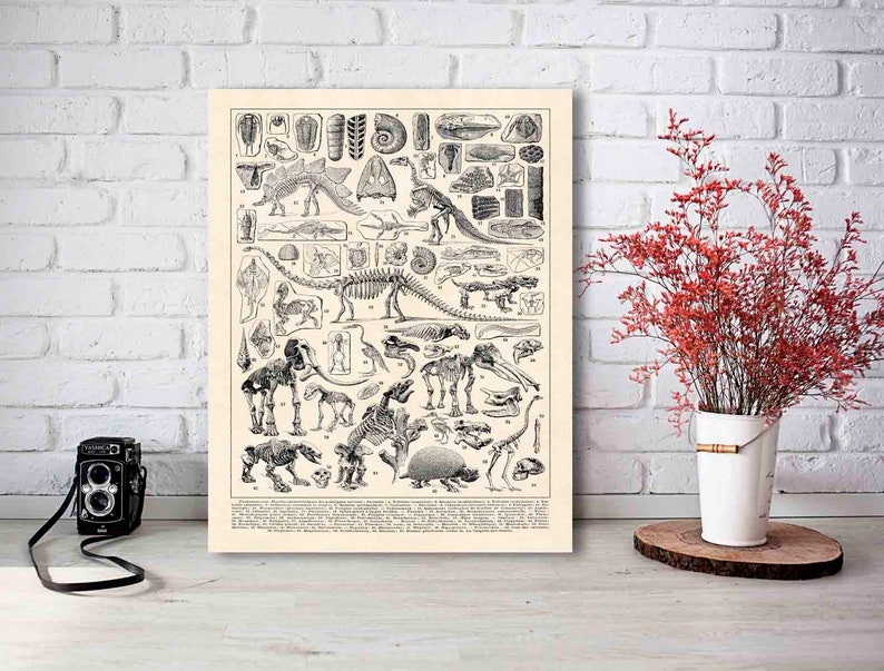 Paleontology Poster, Extinct Animals, Prehistoric Art, Dinosaur Decor image 1