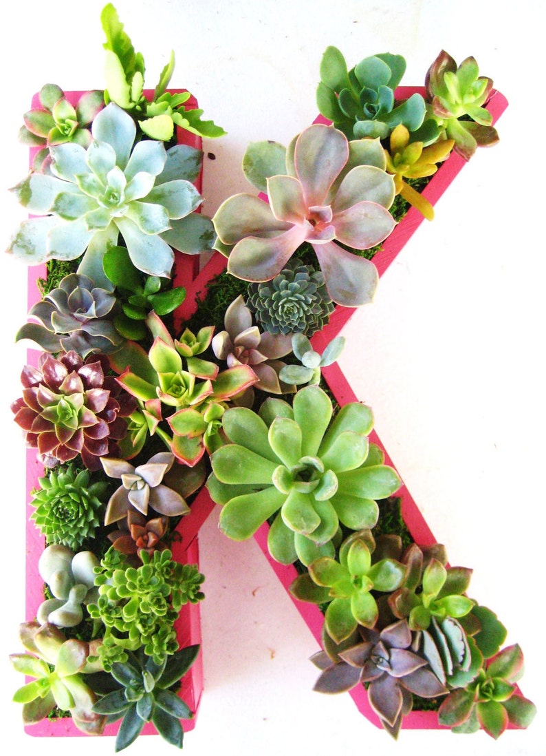 10 inch DIY Letter Planter Box Initial Monogram for Succulents Etsy