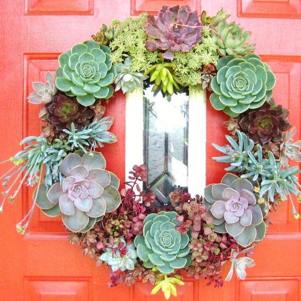 Reserved BsStudio for 18" Succulent Living Wreath - Perfect Unique Gift and Home Decor