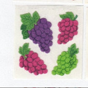 Sandylion Vintage Fuzzy Druiven Sticker Mod - Druif Fruit Paars Groen Wit Wijnstok Vino Vineyard Napa Plakboek leraar