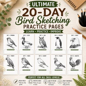 Puede incluir: Un conjunto de páginas de práctica de dibujo de aves de 20 días con ilustraciones en blanco y negro de aves que incluyen un gorrión, pato, búho, pingüino, águila, loro, petirrojo, canario, paloma y gallo, con áreas de práctica en cada página.