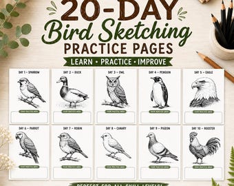 Può includere: Un set di pagine di pratica per il disegno di uccelli di 20 giorni con illustrazioni in bianco e nero di uccelli tra cui passero, anatra, gufo, pinguino, aquila, pappagallo, pettirosso, canarino, piccione e gallo, con aree di pratica.
