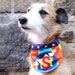 see more listings in the Pet bandanas section