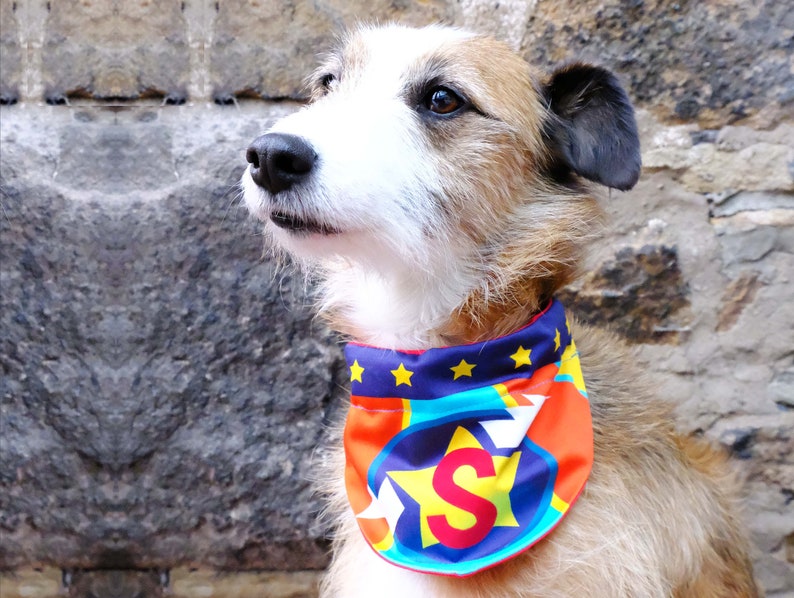 Personalised Superhero dog bandana collar , neckerchief , dog personalised Christmas gift , super dog image 1