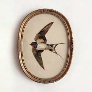 Könnte beinhalten: Ein ovales Kunstwerk in einem goldenen Rahmen, das eine Schwalbe im Flug zeigt. Der Vogel hat braune und weiße Flügel, eine rote Kehle und einen langen, gegabelten Schwanz. Der Rahmen hat dekorative Details.