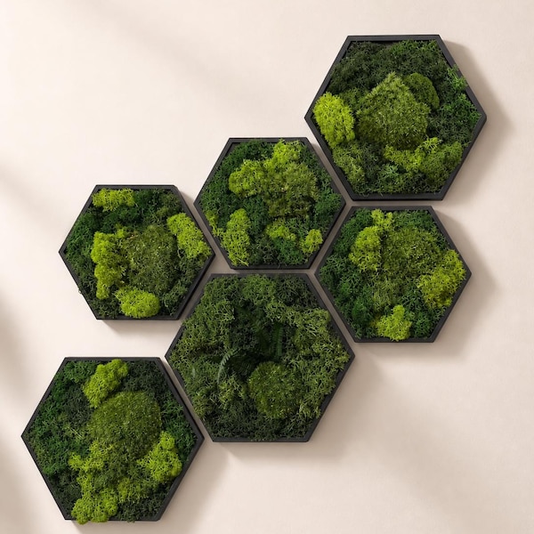 Moosbild Hexagon Bilderrahmen mit Rentiermoos/Islandmoos individuell anpassbar, Geschenk Ideen