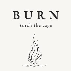 BURN Torch the Cage Printable Wall Art, Minimalist Healing Quote Print, Self Liberation Decor, Boundaries, Burn & Begin Again Poster