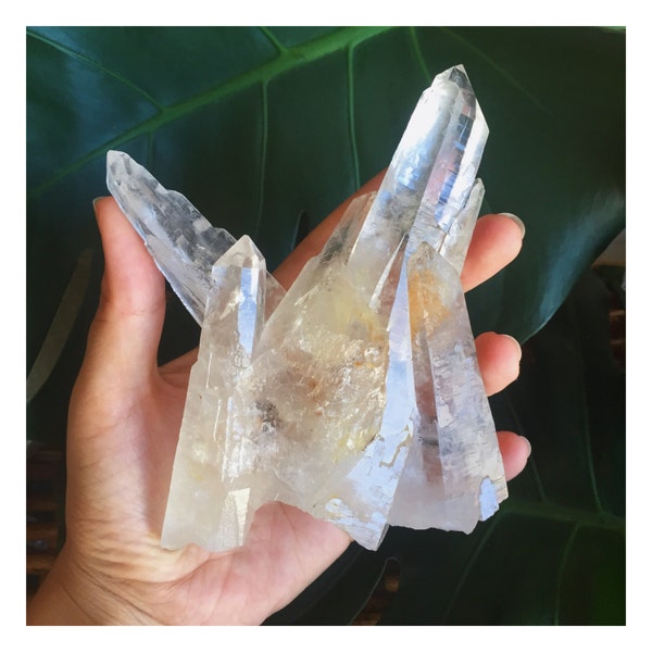 Magician's Wand - Laser Wand Quartz Cluster from the Diamantina Region of Brazil