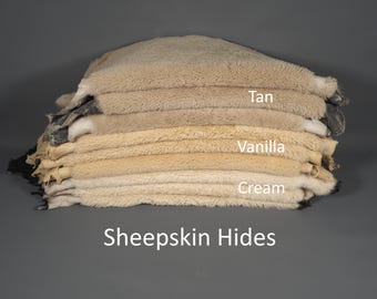 Leather Hides & Supplies