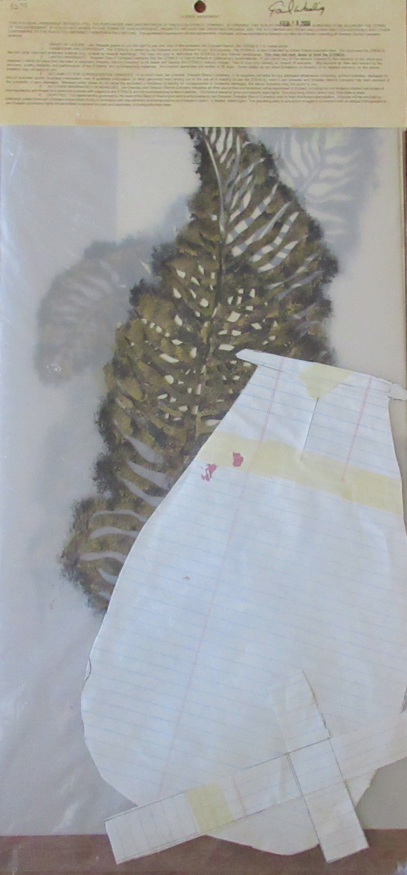 Jan Dressler Stencil ferns 612 From 1994 Package Opened & Used for Wall