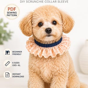 May include: A small, light brown dog wearing a ruffled collar. The collar is a combination of a navy blue band and a peach and white checkered ruffle. The image includes text that says "Ruffled Dog Collar Cover Sewing Pattern" and "DIY Scrunchie Collar Sleeve."
