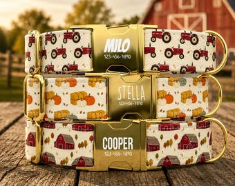 Personalized Farm Dog Collar with Leash, Rustic Fall Dog Collar TPNS-171