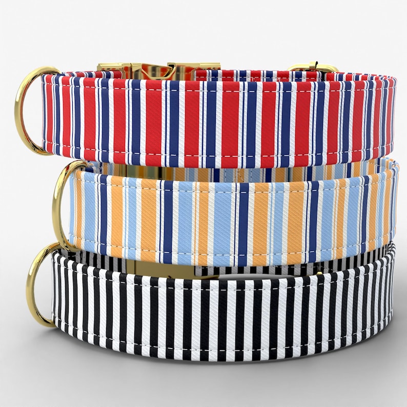 May include: Three dog collars stacked on top of each other. The top collar has red, white, and blue vertical stripes. The middle collar has orange, blue, and white vertical stripes. The bottom collar has black and white vertical stripes. All collars have gold-colored hardware.