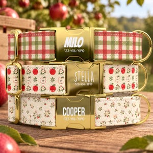 May include: Three pet collars with gold-tone metal buckles. The top collar has a red and green gingham pattern with the text MILO 123-456-7890. The middle collar features red apples and white flowers with STELLA 123-456-7890. The bottom has a floral print with COOPER 123-456-7890.