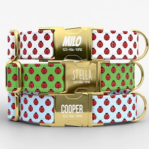 May include: Three personalized dog collars with gold-colored buckles. Each collar features a different background color: white, green, and light blue. The collars are patterned with red ladybugs. The buckles are engraved with a name and phone number.
