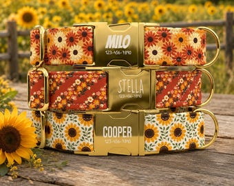 Autumn Floral Personalized Dog Collar with Leash, Retro Daisy Pattern, Sunflower Dog Collar, Customizable Pet Collar TPNS-80