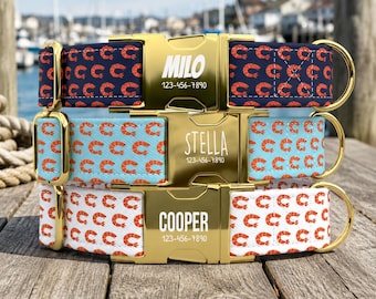 Shrimp Pattern Personalized Dog Collar with Leash, Custom Pet Dog Collar, Dog Name Collar, Seafood Pet Collar TPNS-113