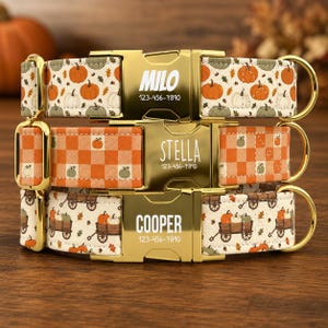 May include: Three pet collars with gold-tone metal buckles. The top collar features orange pumpkins and leaves on a cream background with the name MILO and 123-456-7890. The middle has an orange plaid pattern with STELLA and 123-456-7890. The bottom shows wagons and pumpkins with COOPER and 123-456-7890.