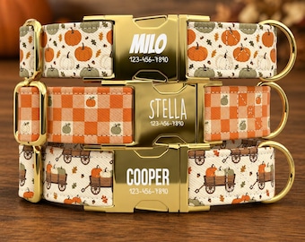 Pumpkin Patch Dog Collar Personalized with Leash, Fall Pet Collar TPNS-161