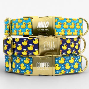 May include: Three personalized dog collars with gold-colored buckles and hardware. The collars feature a repeating pattern of yellow rubber ducks on blue backgrounds. Each buckle displays a name and phone number.