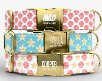 Coastal Dog Collar Personalized with Leash, Beach Theme Dog Collar, Custom Name Pet Collar, Seashell Collar TPNS-128