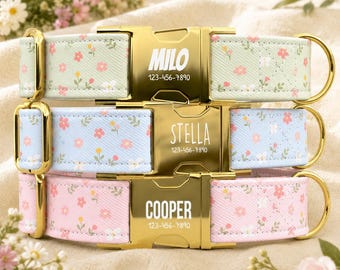 Pastel Floral Personalized Dog Collar with Leash, Spring Wildflower Dog Collar, Custom Name Pet Collar, Cottagecore Dog Collar TPNS-20