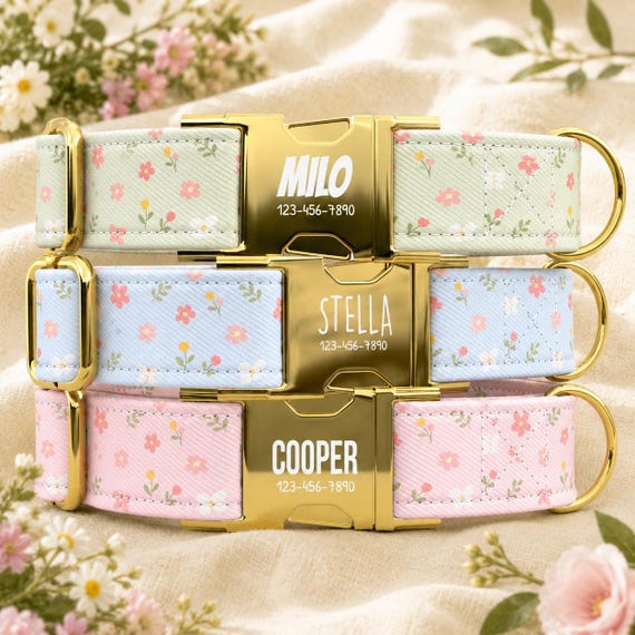Pastel Floral Personalized Dog Collar with Leash, Spring Wildflower Dog Collar, Custom Name Pet Collar, Cottagecore Dog Collar TPNS-20