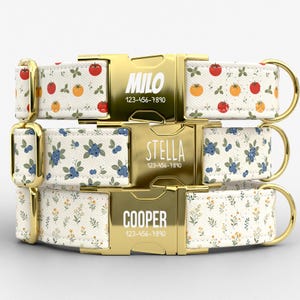 May include: Three dog collars with gold-tone metal buckles engraved with the names MILO, STELLA, and COOPER, each followed by the phone number 123-456-7890. The collars feature patterns of tomatoes, blueberries, and wildflowers on a white fabric base.