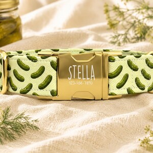 Pickle Pattern Personalized Dog Collar with Leash, Custom Pet Dog Collar, Dog Name Collar, Funny Food Pet Collar TPNS-22