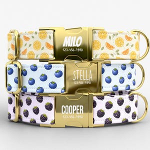 May include: Three dog collars with gold-colored buckles and hardware. The top collar has a pattern of oranges, the middle collar has blueberries, and the bottom collar has blackberries. Each buckle has a name and phone number.