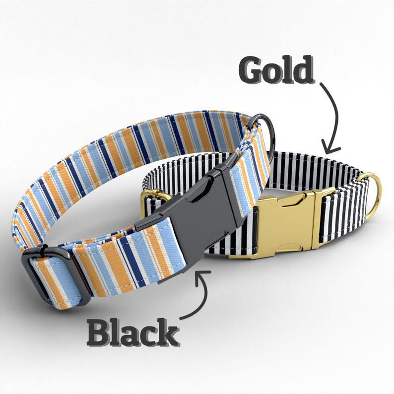 May include: Two dog collars. One is striped with light blue, orange, and navy blue. The other is black and white striped. Both have black and gold hardware. The word "Gold" and "Black" are written on the image.