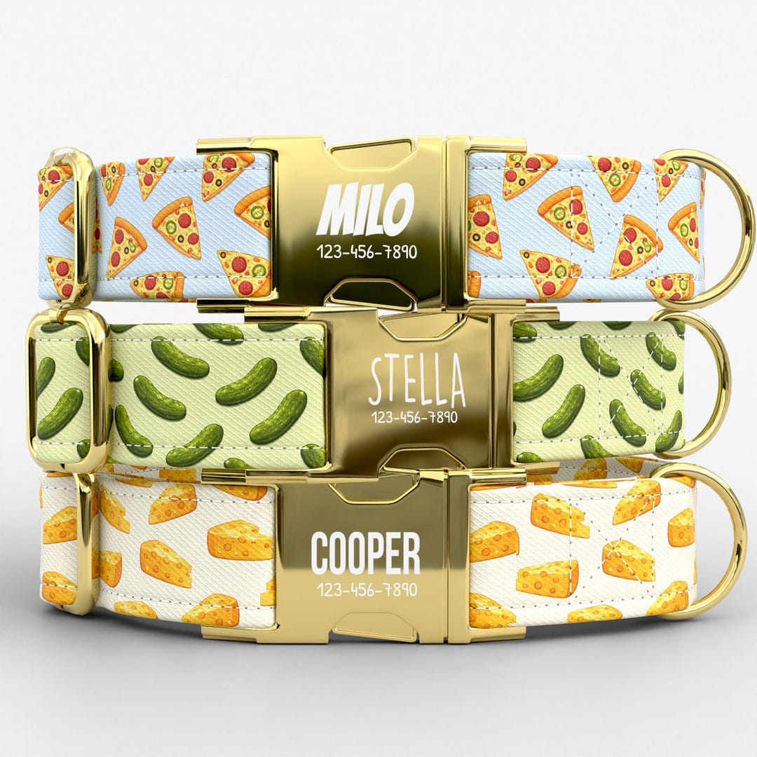 Food Dog Collar With Leash: Personalized Food Theme, Pizza, Pickles ...