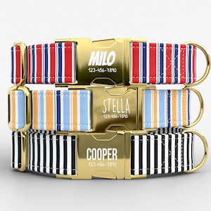 May include: Three personalized dog collars with gold-colored buckles. The top collar has red, white, and blue stripes, the middle one has orange, blue, and white stripes, and the bottom one has black and white stripes. Each buckle has a name and phone number.