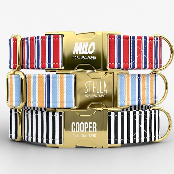 Classic Striped Personalized Dog Collar with Leash, Custom Engraved Name, Modern Vertical Stripe Pet Accessory TPNS-51