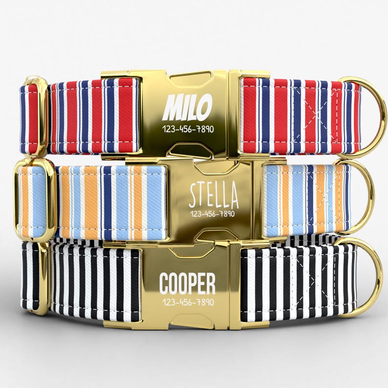 May include: Three personalized dog collars with gold-colored buckles. The top collar has red, white, and blue stripes, the middle one has orange, blue, and white stripes, and the bottom one has black and white stripes. Each buckle has a name and phone number.