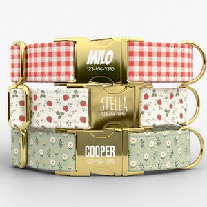 May include: Three pet collars with gold-tone metal buckles. The top collar has a red and white gingham pattern with the name MILO and 123-456-7890. The middle has a strawberry print with STELLA and 123-456-7890. The bottom has a daisy print with COOPER and 123-456-7890.