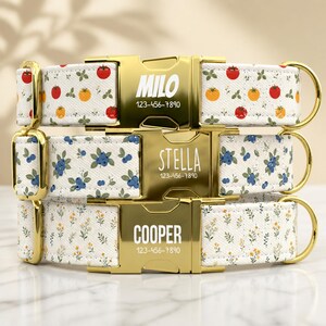 Farmers Market Dog Collar Personalized with Leash, Custom Name Garden Harvest Pet Collar TPNS-140