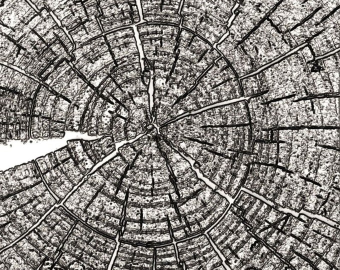 Tim Holtz Sizzix 3-D Texture Fades Embossing Folder - Tree Rings ...
