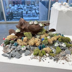 Caja Misteriosa de Rana Verde: Figura de madera tallada a mano al azar con sombrero sorpresa