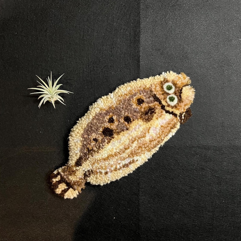 May include: A handmade, textured rug in the shape of a fish, featuring shades of brown, tan, and cream. The fish has dark brown spots and green eyes. A small, spiky plant is next to the fish on a black surface.