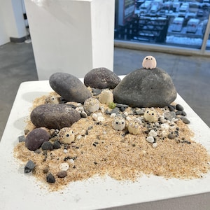 Puede incluir: Un diorama en miniatura que representa una escena de playa arenosa con piedras grises lisas y pequeñas figuras redondas de color crema con ojos negros. Una piedra más grande tiene una figura encima. La escena está sobre una superficie blanca.