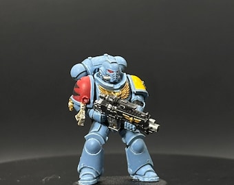 Warhammer 40K: Space Wolf Primaris Intercessor