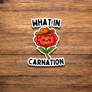 May include: A sticker featuring a cartoon carnation wearing a cowboy hat. The carnation is red with a smiling face. The text "WHAT IN" is above the flower, and "CARNATION" is below it, all in a white outlined font.