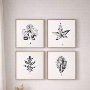 May include: Four framed prints featuring black and white leaf impressions. Each square print showcases a different leaf design, set against a white background. The frames are a light wood color, and the prints are displayed on a wall above a wooden cabinet.