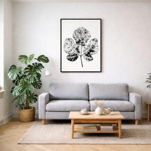 May include: A black and white framed print of a fig leaf hangs above a gray sofa. The leaf print is detailed with intricate veining. A large potted plant with green leaves sits to the left of the sofa. A wooden coffee table with books and decor sits in front of the sofa.