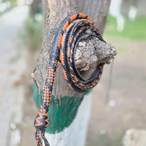 May include: A black and orange leather whip is coiled around a tree branch. The whip is made of braided leather with a handle and a braided end. The colors are black and a vibrant orange. The background is blurred, showing a natural outdoor setting.